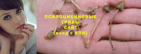 МДПВ Алзамай