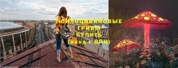бошки Алексин