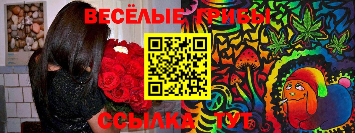что такое   Галлюциногенные грибы мицелий  Вход с VPN  Вологда  Псилоцибиновые грибы MAGIC MUSHROOMS 