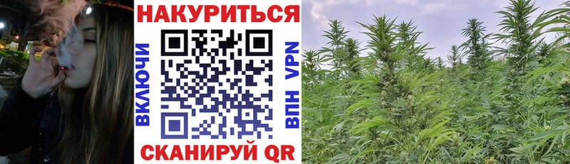 кракен   цена   Вологда  МАРИХУАНА White Widow 